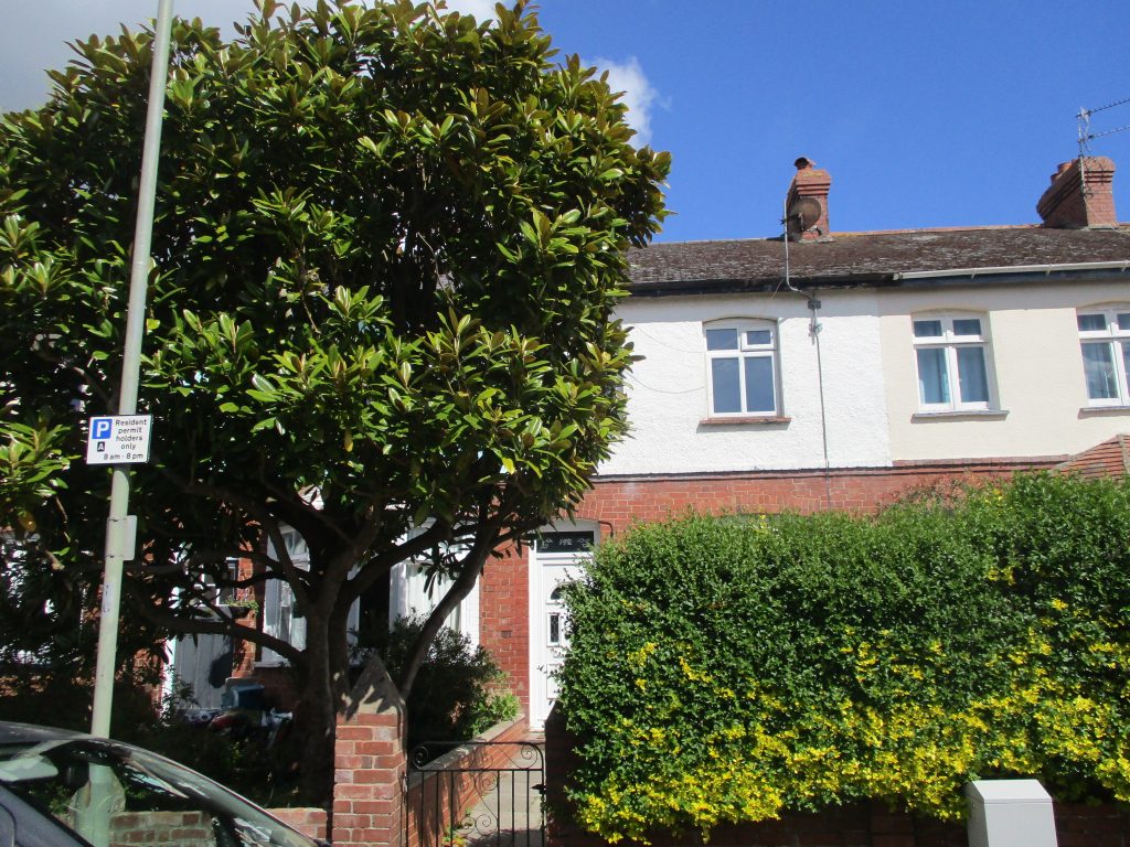 Rosebery Road, Exmouth